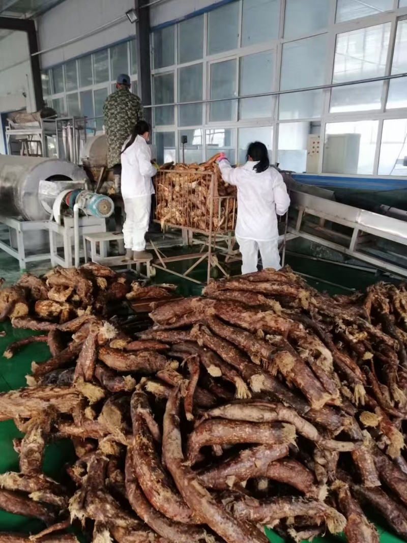 1750411050131842.jpg 微信圖片_20250326085830.jpg