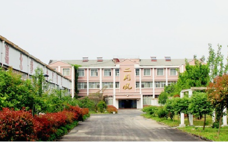 二月風(fēng)野生葛根粉,當(dāng)代年輕人的反焦慮新寵