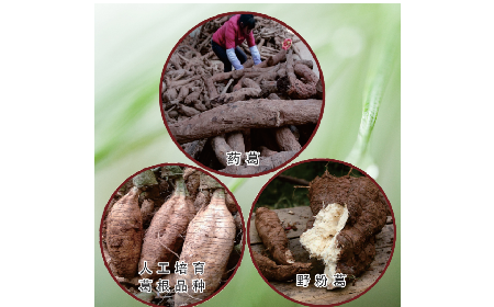 買葛粉是買野生的好？還是野生有機(jī)的好？