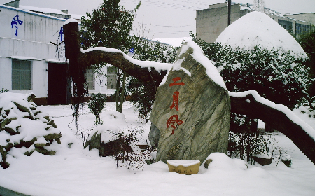 二月風(fēng)致老友：一碗葛根粉的牽掛，農(nóng)博會(huì)上的重逢之約二月風(fēng)盼老友：農(nóng)博會(huì)上，再續(xù)葛粉情緣